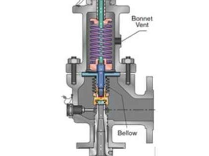 Balanced Bellows Valve